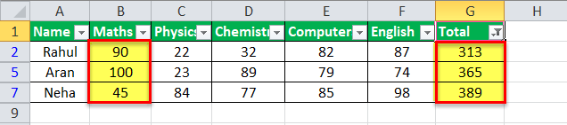 Filtru automat în Excel Exemplul 2-4