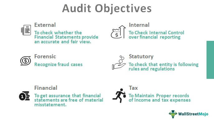 Obiectivele auditului
