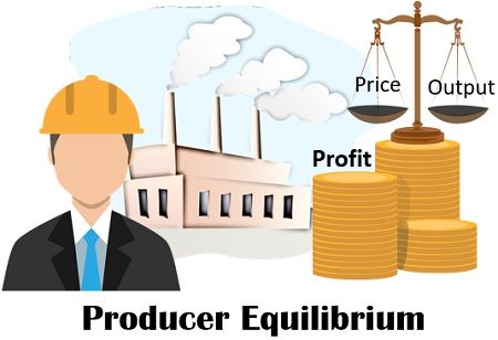 Producer Equilibrium