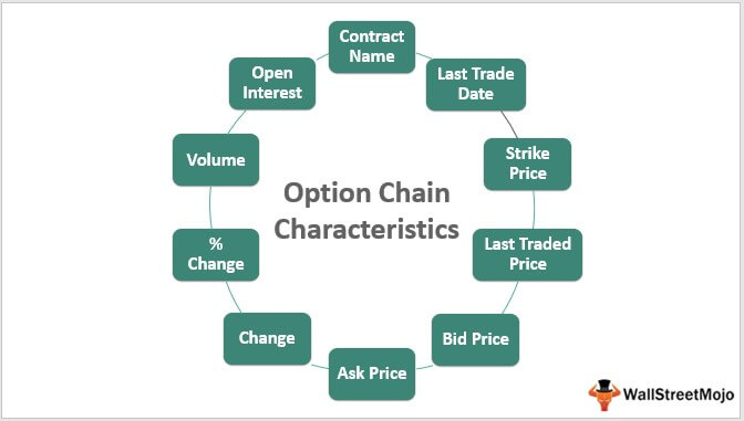 Option Chain Characteristics