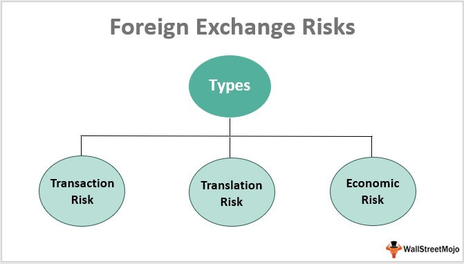 Foreign Exchange Risks